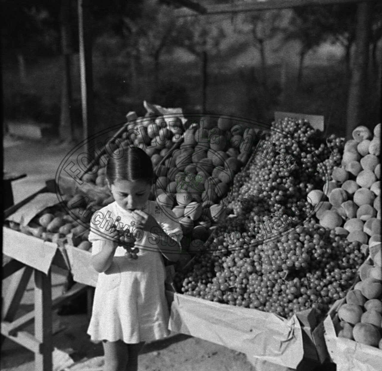 Fruttivendola