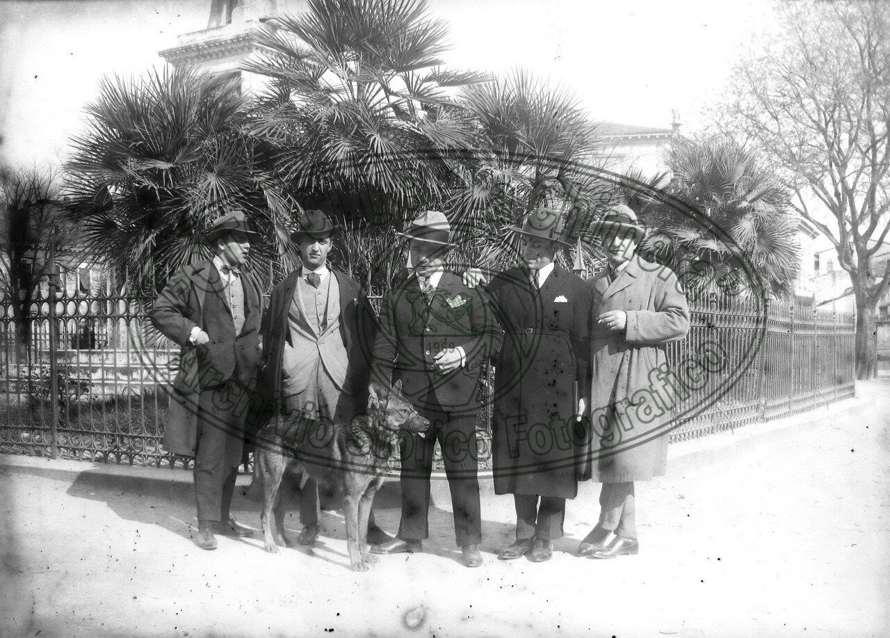 Amici