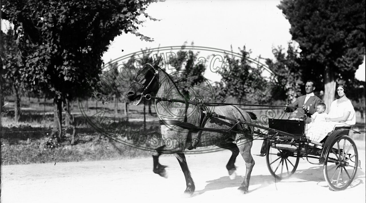Gita in campagna