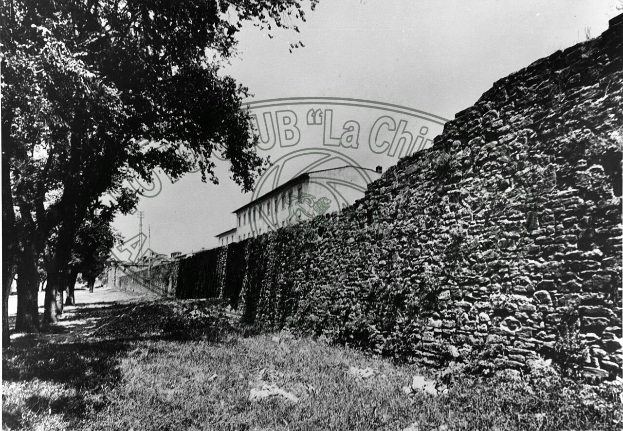 Mura di Via Niccolò Aretino