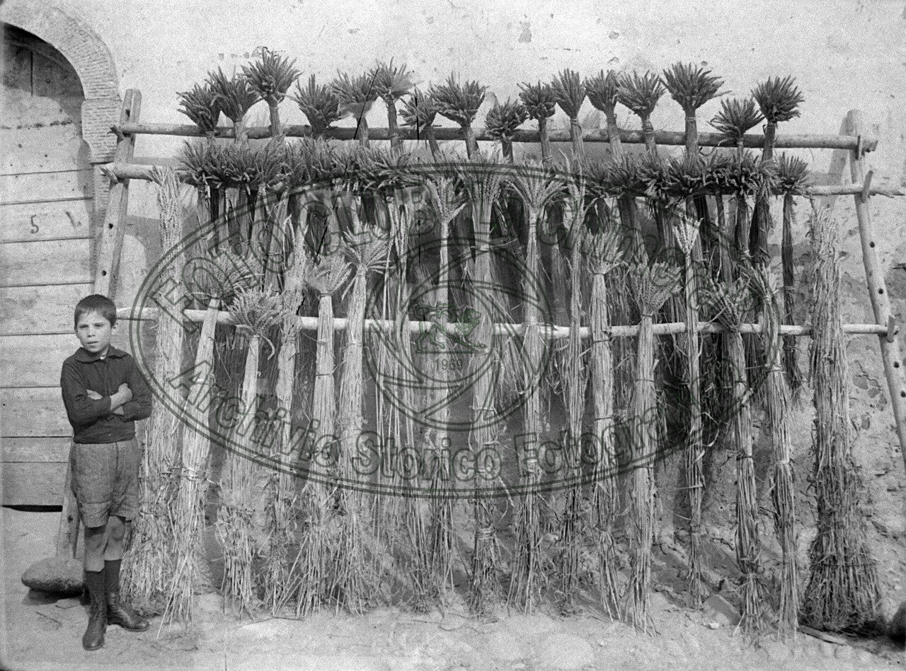 Produzione agraria