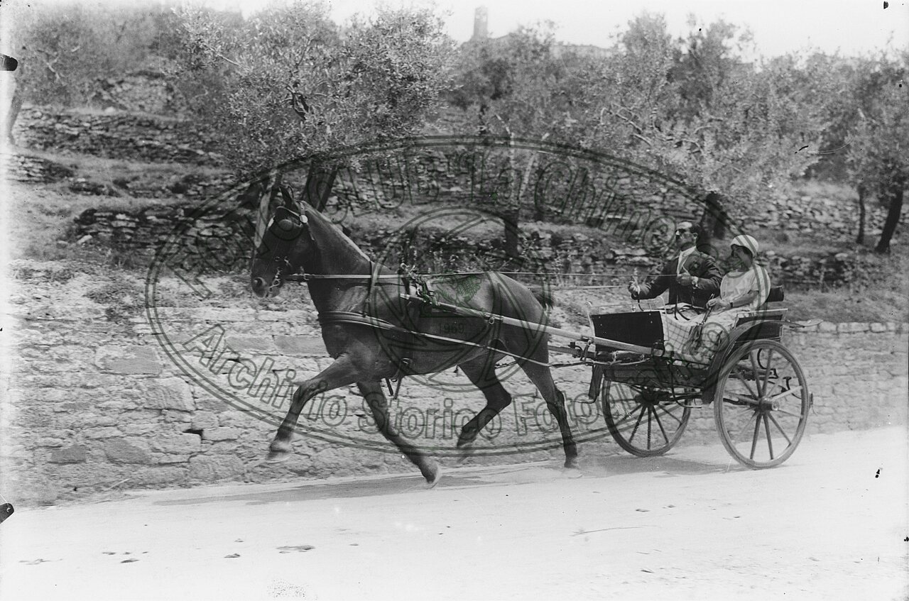Gita in campagna