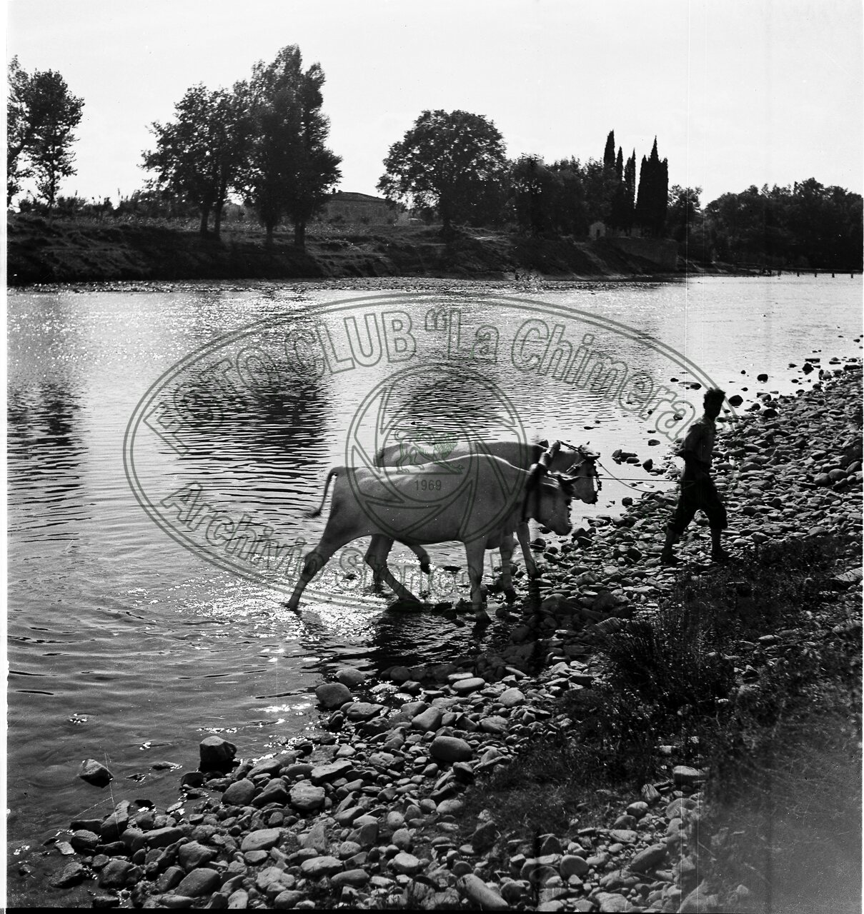 Abbeverata in Arno
