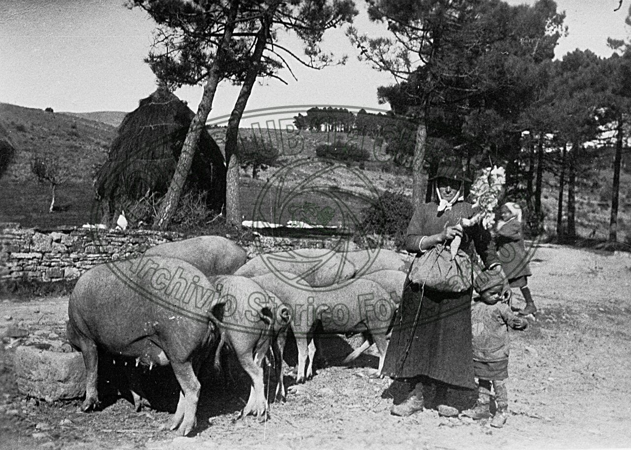 Guardiana di porci
