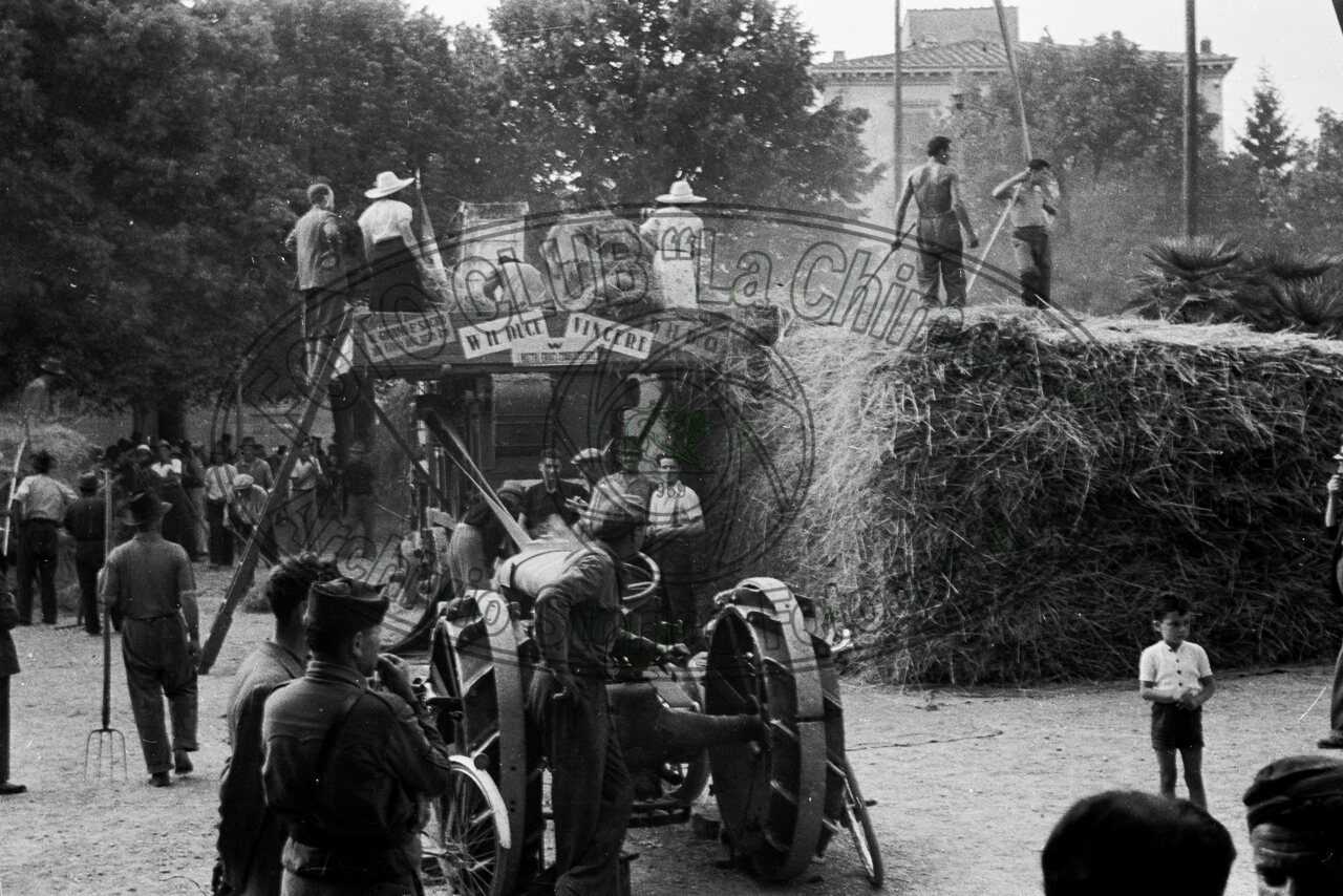Battaglia del grano