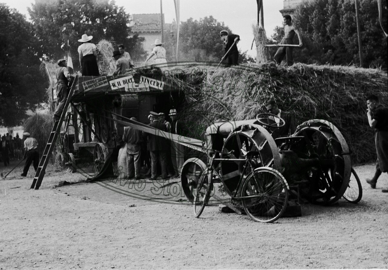 Battaglia del grano