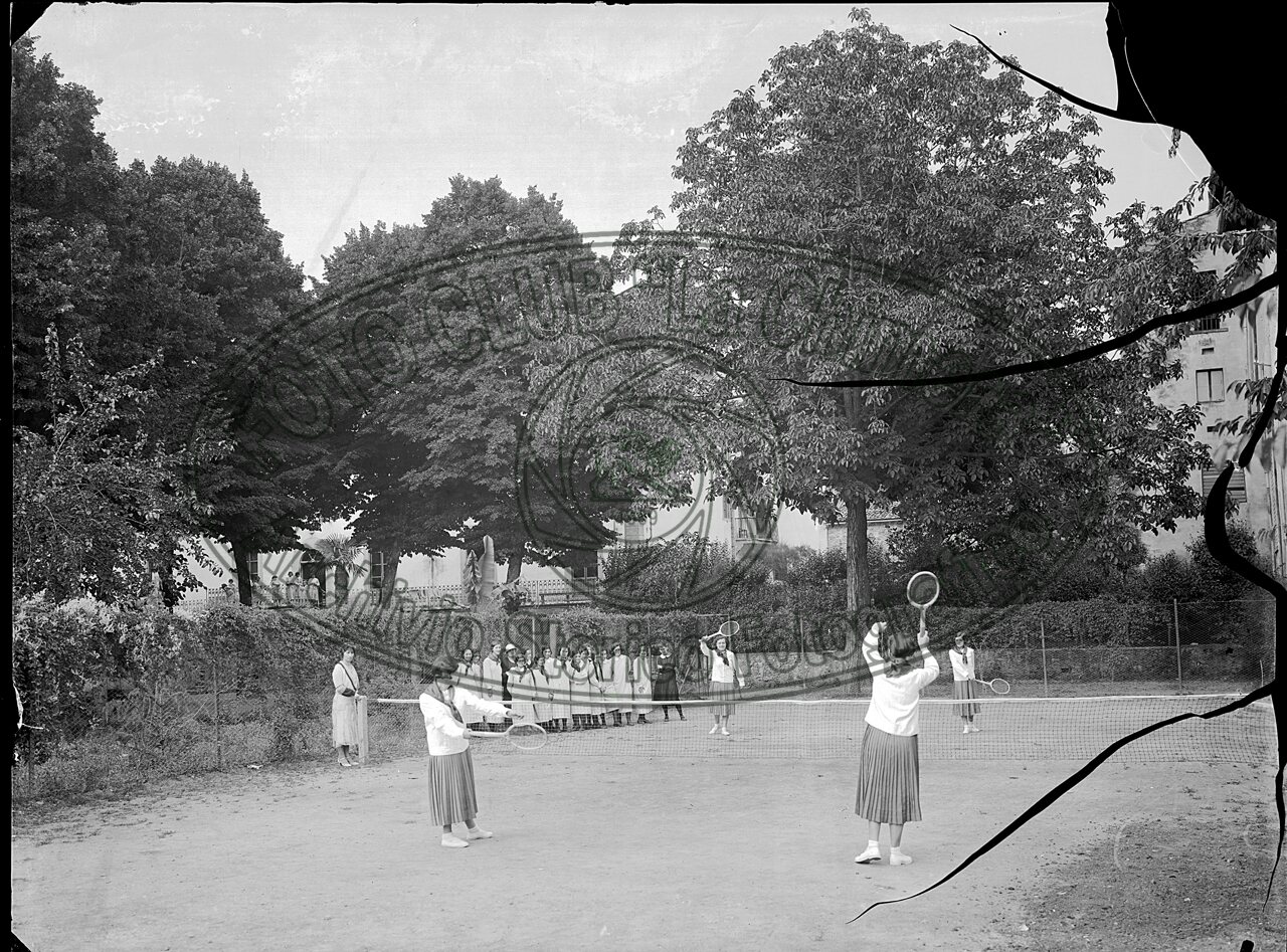 Tenniste