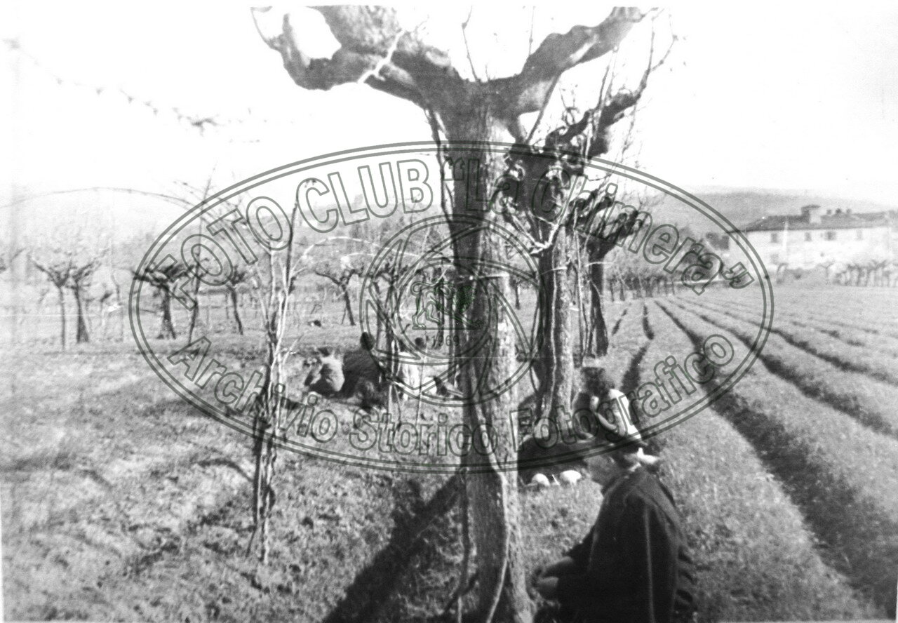 Bombardamento