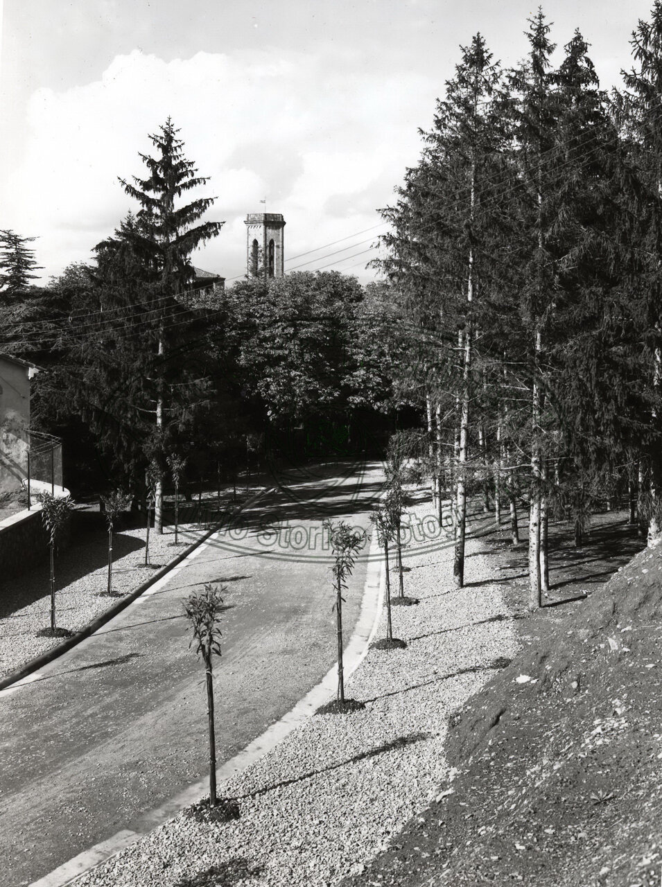 Il nuovo Viale del Re (poi Bruno Buozzi)