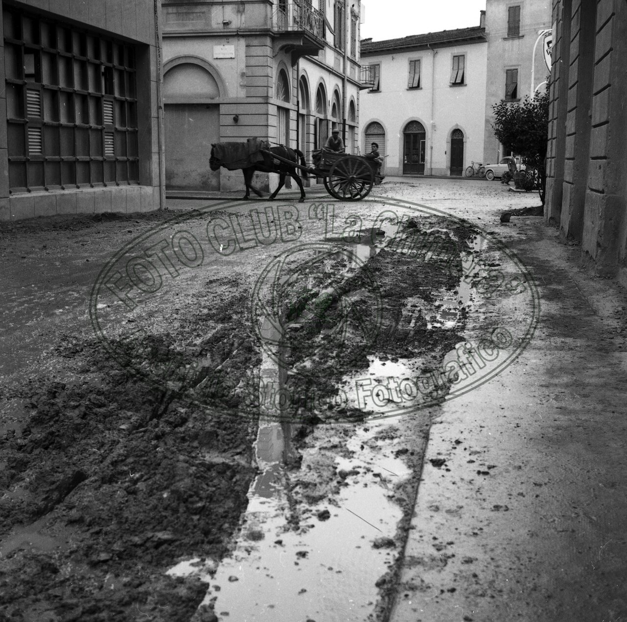 Zona Saione