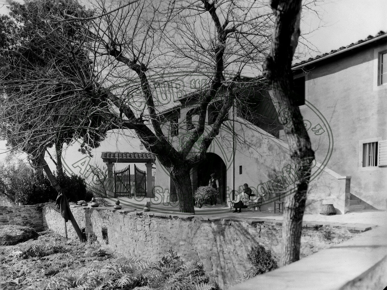 Collina del Pionta