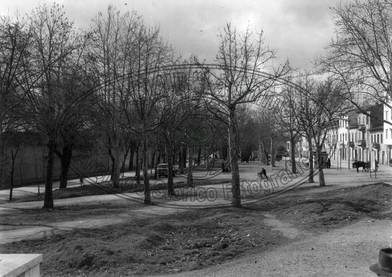Viale Luca Signorelli