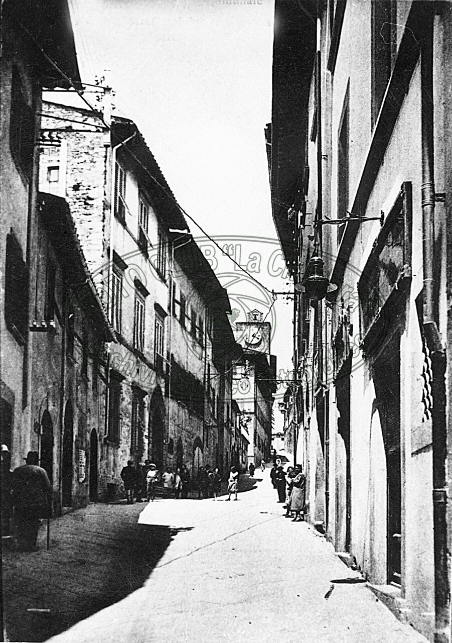 Via Cesalpino