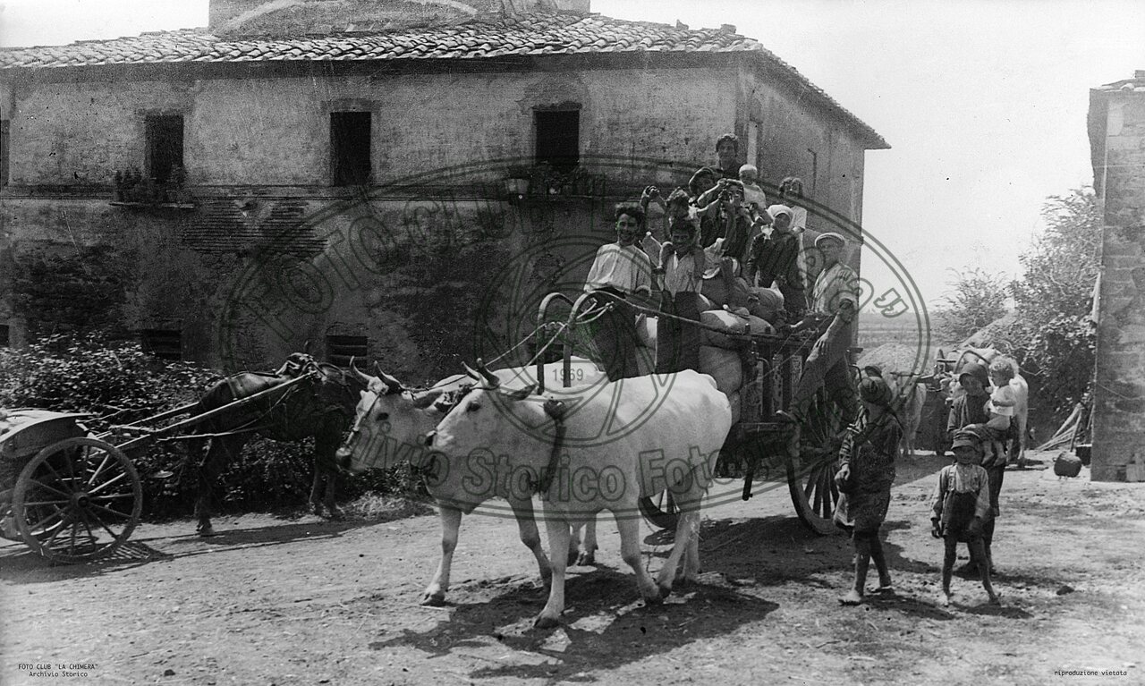 Trasporto del grano trebbiato