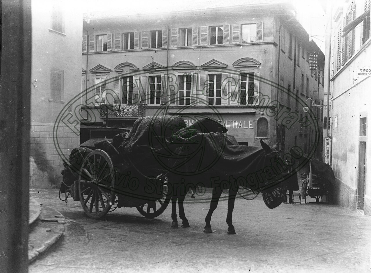 Carbonaio in Piazza S. Michele