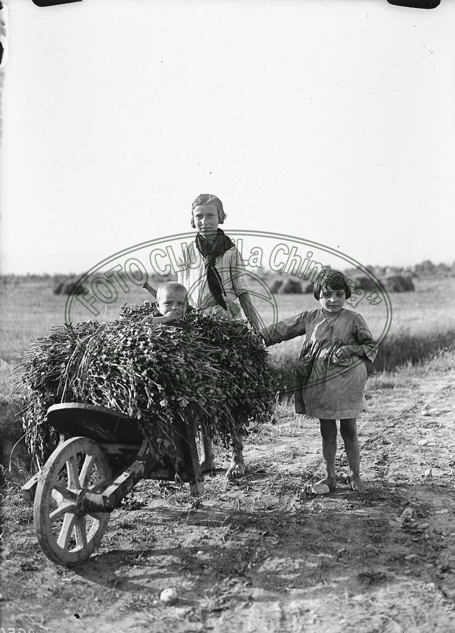 Contadina con carriola