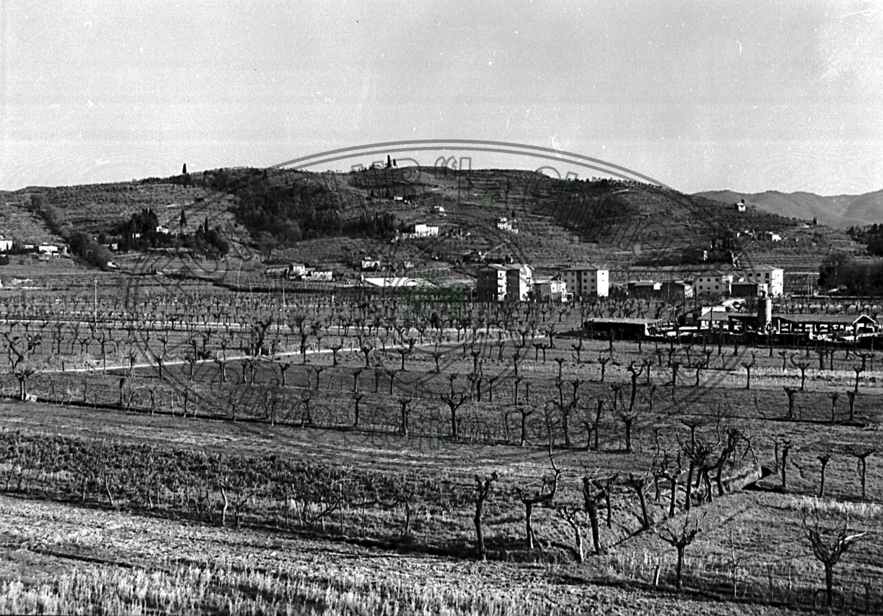 Panorama della collina di S. Cornelio