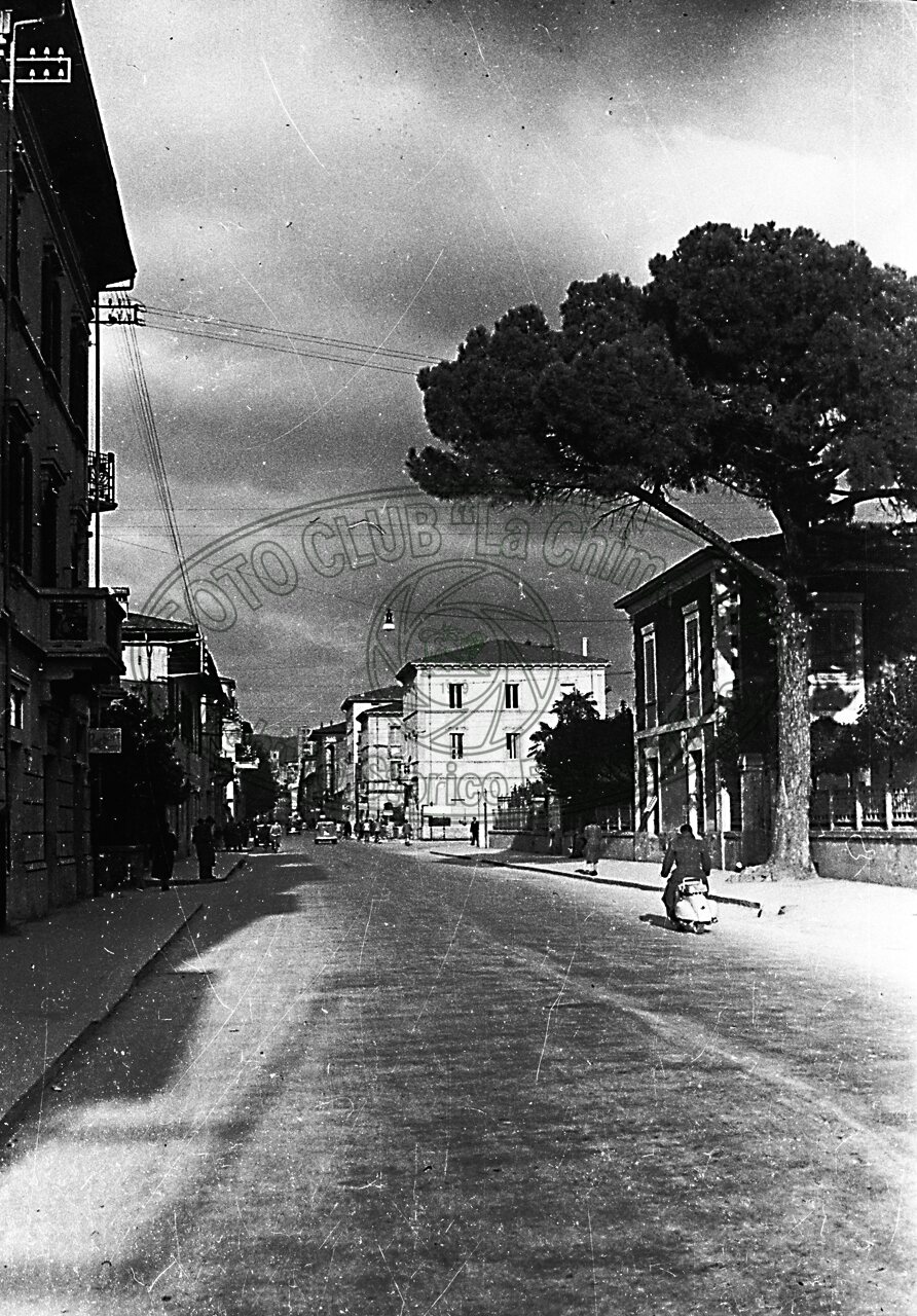 Il “pino”