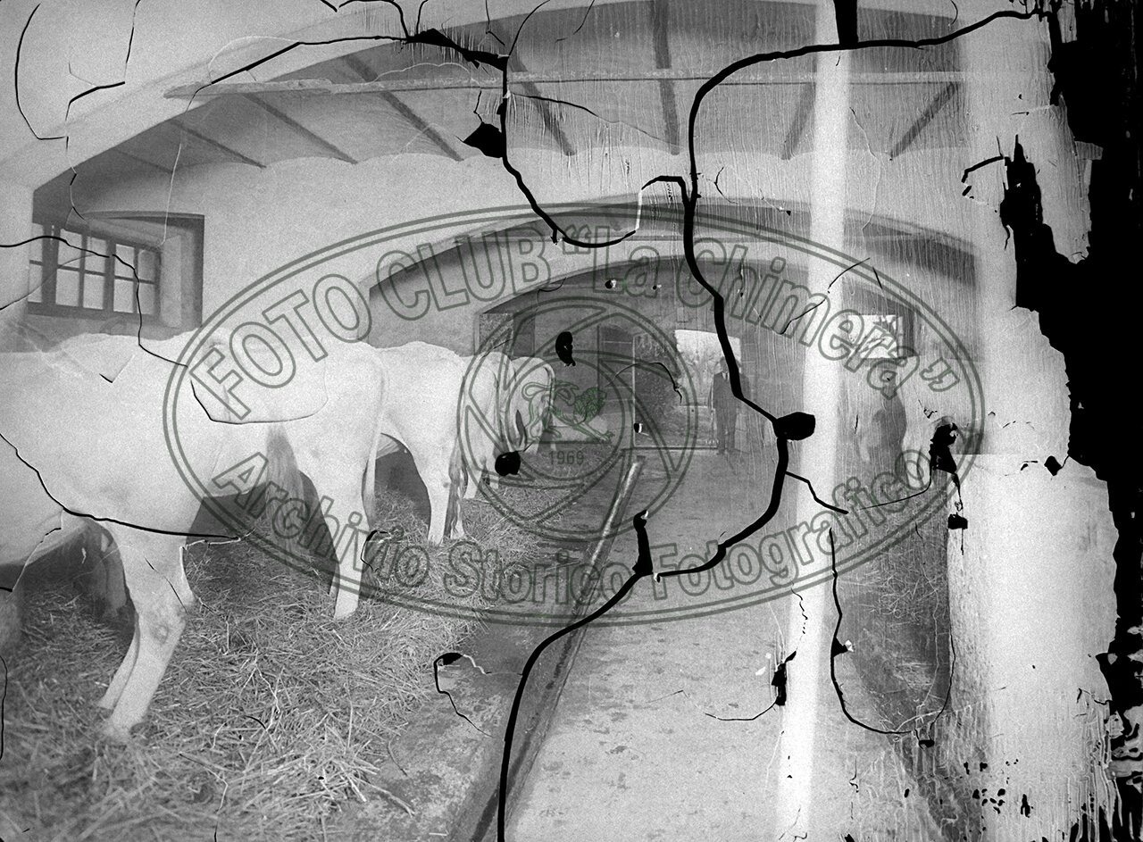 Fattoria Di Vitareta Signor Manganelli