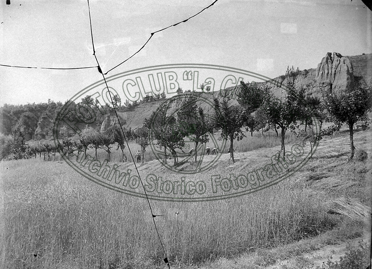 Fattoria Di Vitareta Signor Manganelli