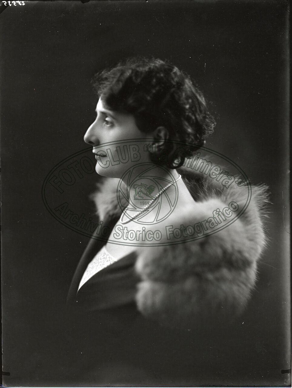 Ritratto Di Donna