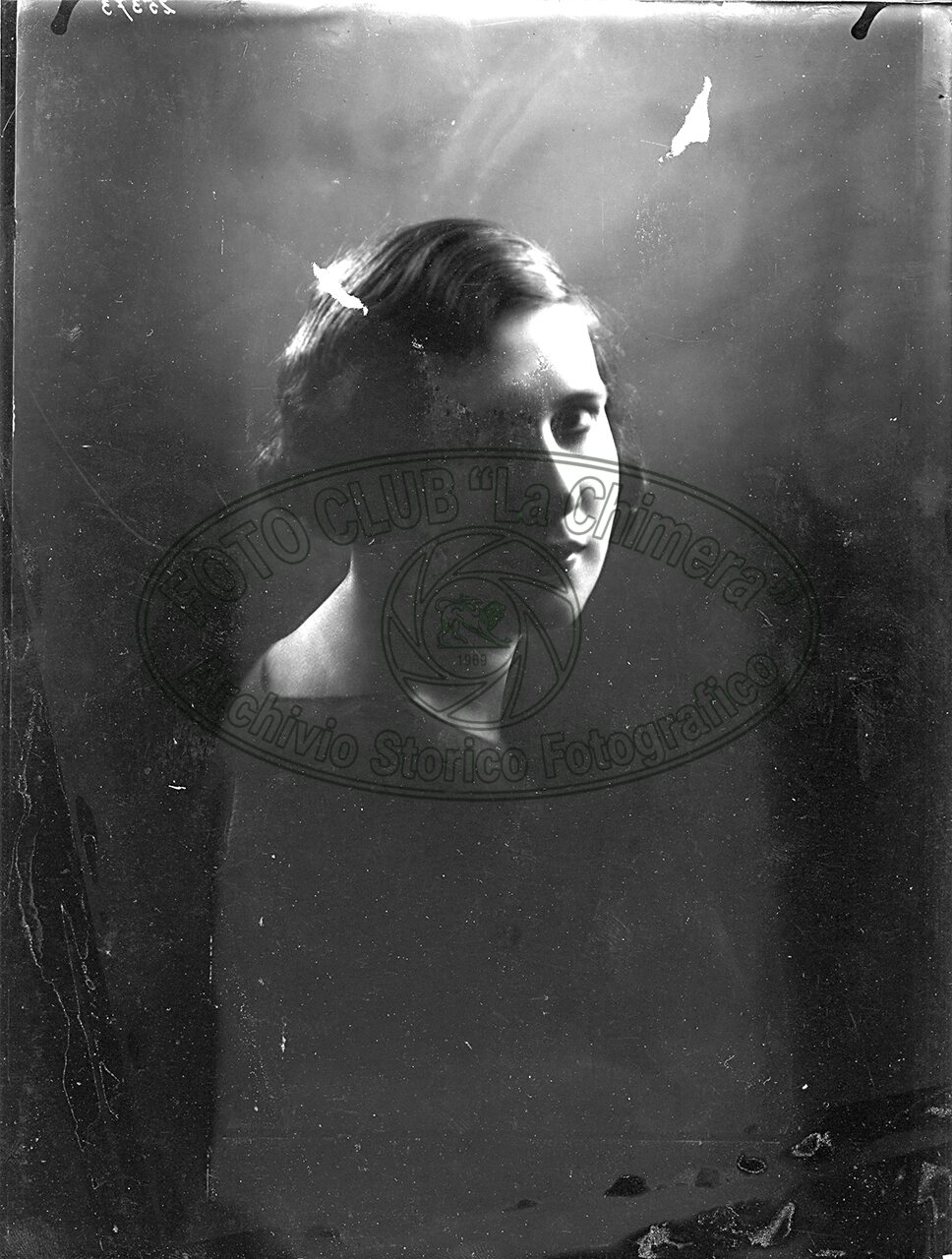 Ritratto Di Donna