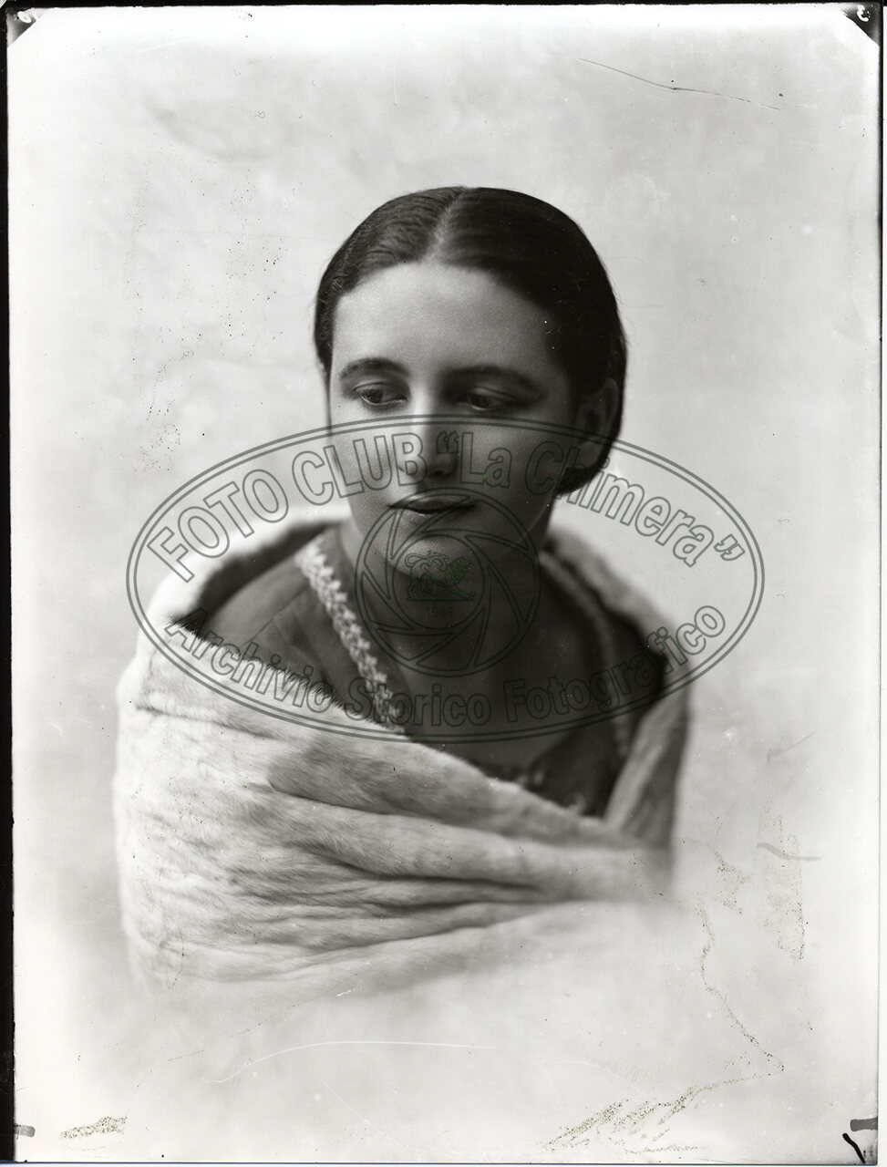 Ritratto Di Donna