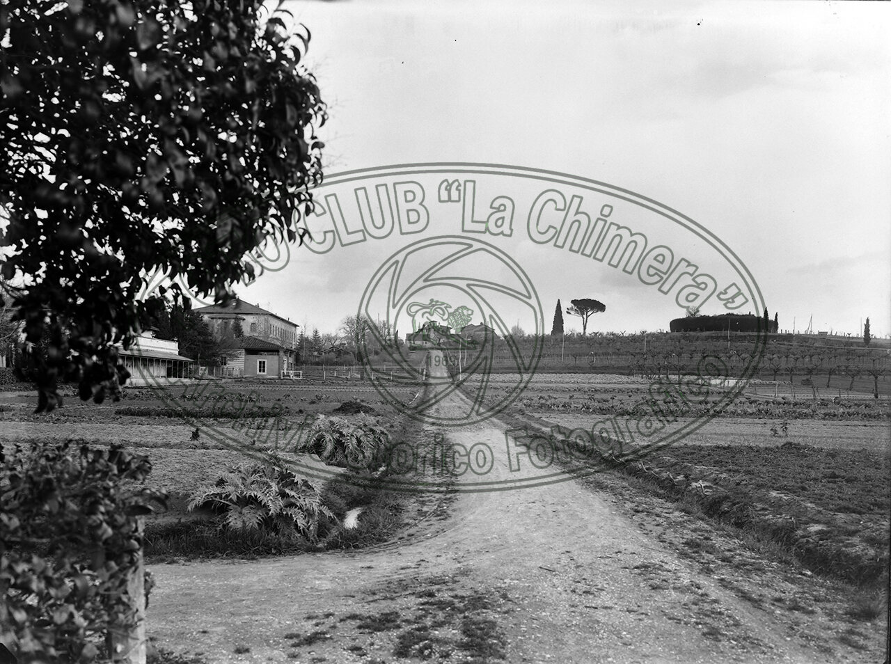 Manicomio Viale