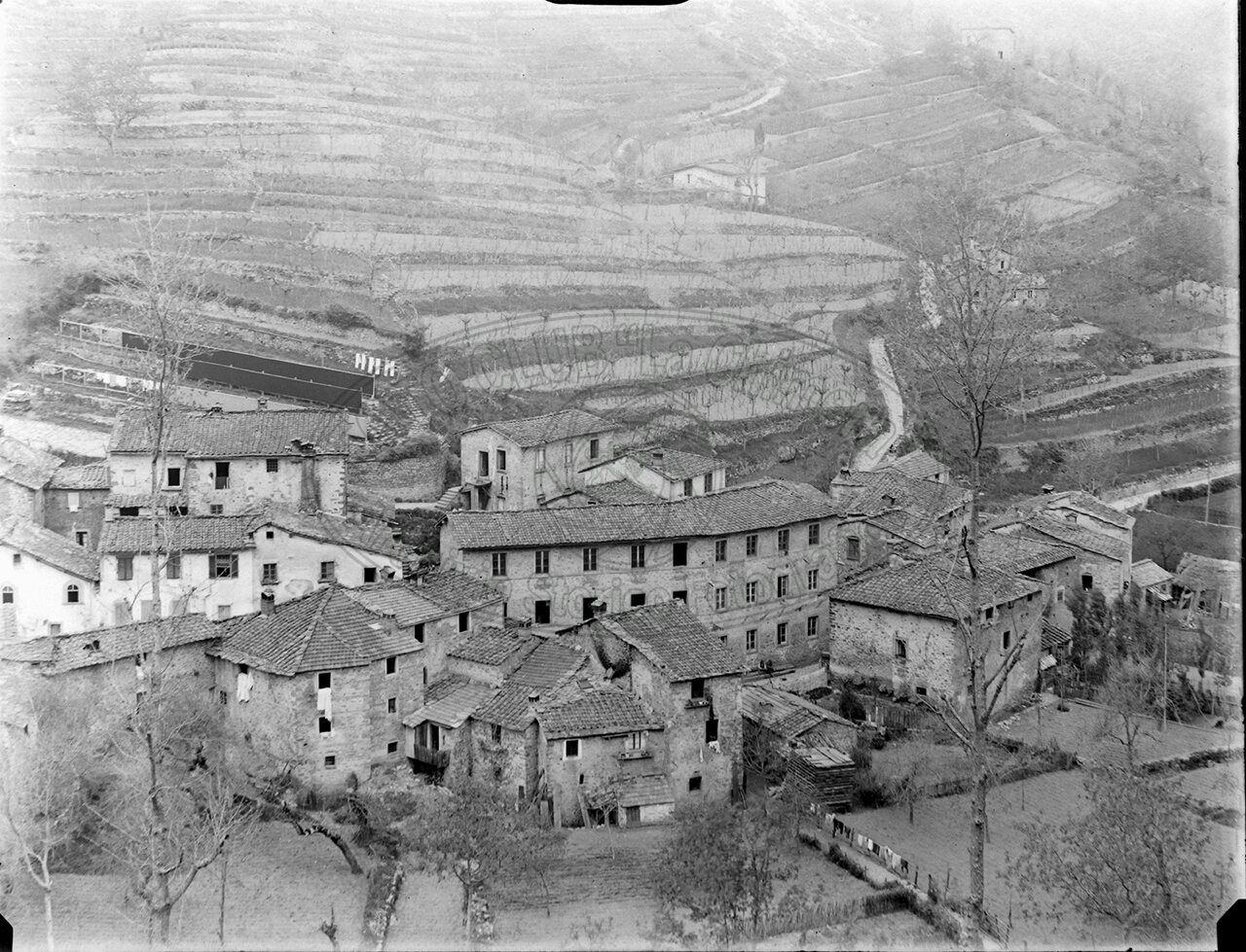 Lanificio Grifoni Veduta Generale