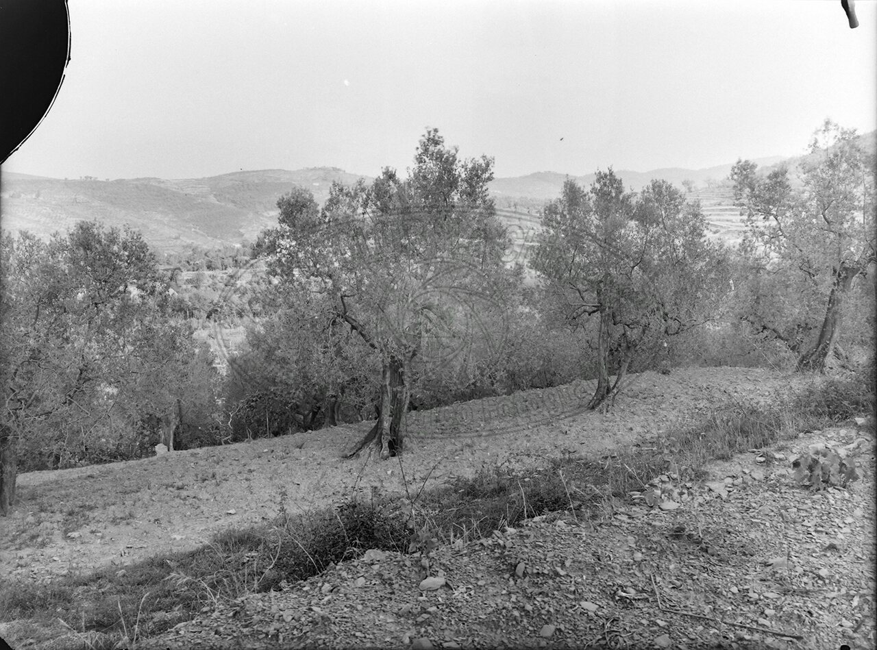 Priva Di Indicazioni